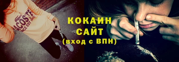дживик Лагань