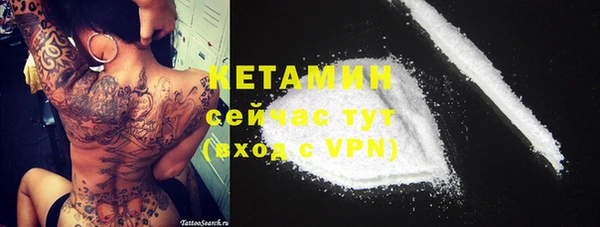 дживик Лагань