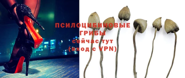 гидропоника Ладушкин