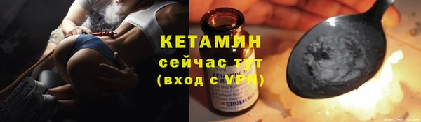 дживик Лагань