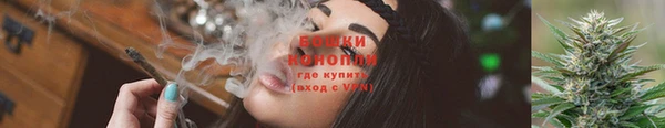 дурь Лабытнанги