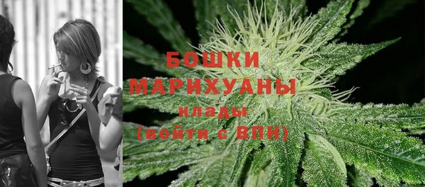 дживик Лагань