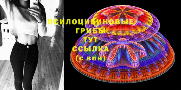 дурь Лабытнанги