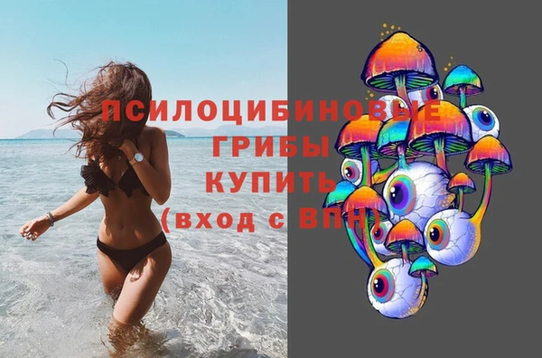 дурь Лабытнанги