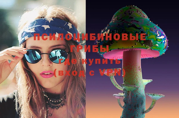гидропоника Ладушкин