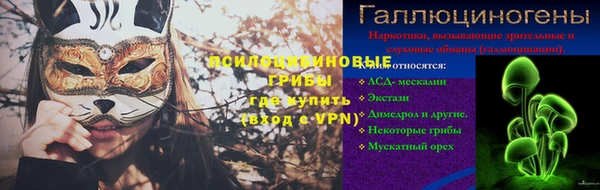 дживик Лагань